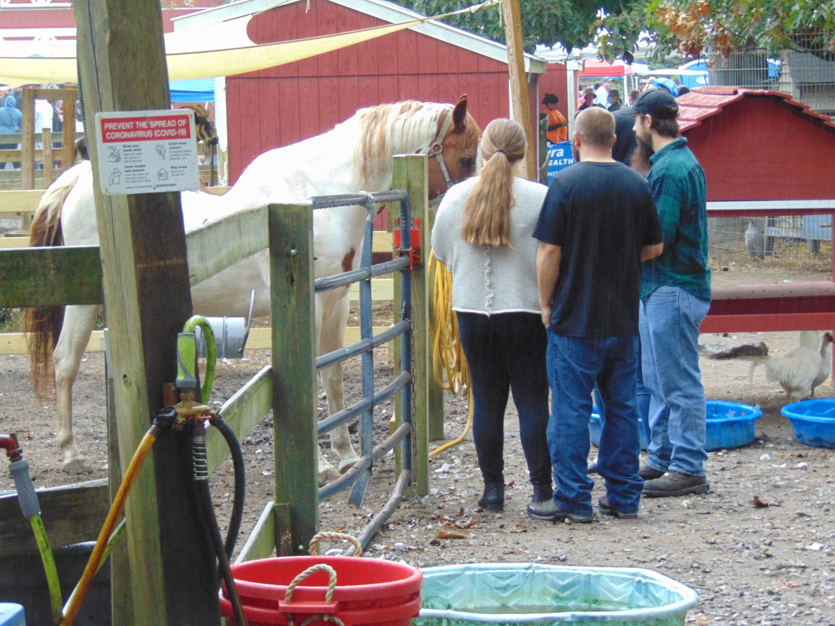 Farm gallery 7.JPG